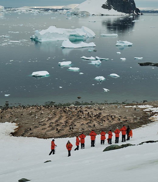 Captivating Shore Excursions