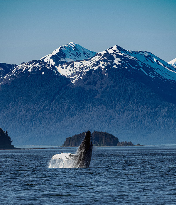 Explore Alaska your way