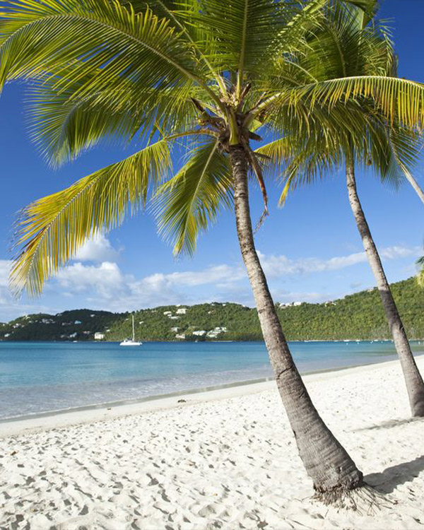 DISCOVER ST. THOMAS & MAGEN BAY