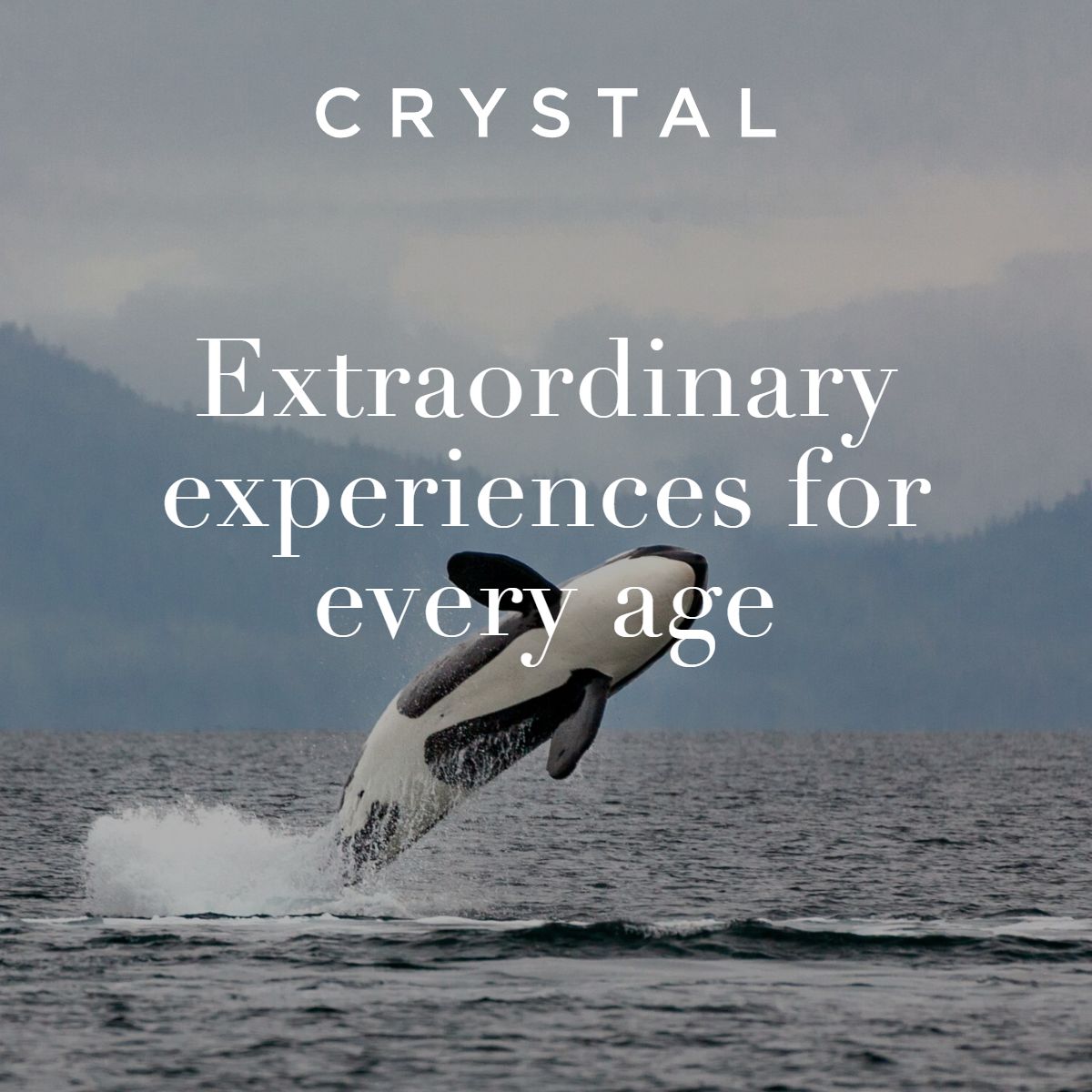 Extraordinary experiences for every age