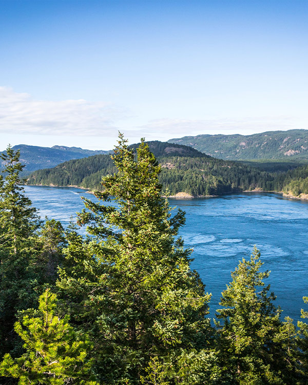 Cruising Seymour Narrows, Canada 