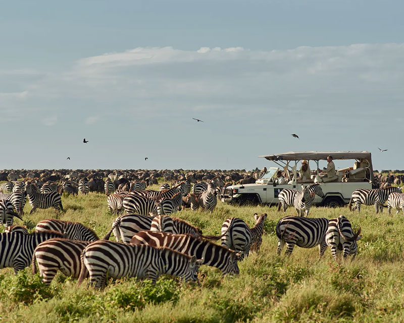 A&K Sanctuary Tanzania Safari