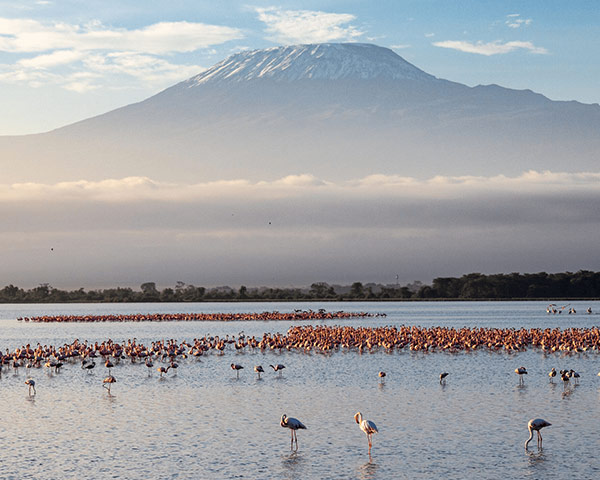 A&K Sanctuary Tanzania and Kenya Wildlife Safari