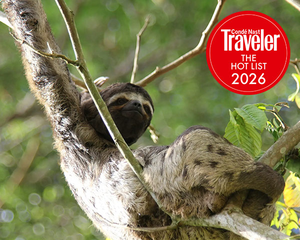 A&K Sanctuary Peruvian Amazon Cruise (6 days)